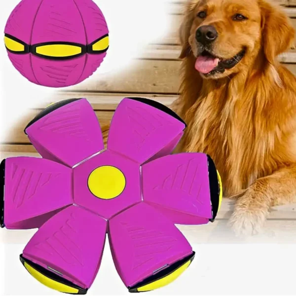 Brinquedinho para Cachorro Bola Voadora Mágica Brinquedo - Imagem 2