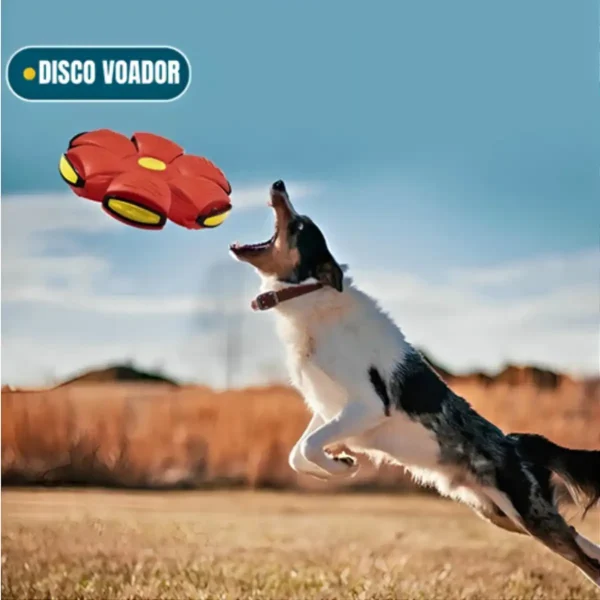 Brinquedinho para Cachorro Bola Voadora Mágica Brinquedo