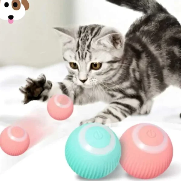 Brinquedo Elétrico Para Gatos Automático USB Recarga Gatinho e Cão - Imagem 4