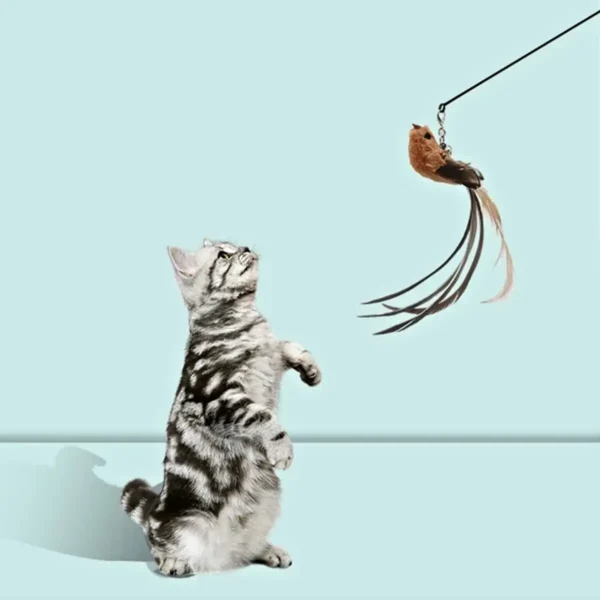 Brinquedo de Passarinho Interativos Gato Pena com Sino Vara que Joga - Imagem 4