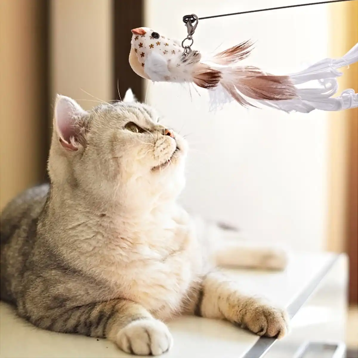 Brinquedo de Passarinho Interativos Gato Pena com Sino Vara que Joga