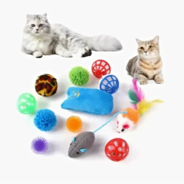 Brinquedos Para Gato Kit 14 Acessórios Interativos Sortidos