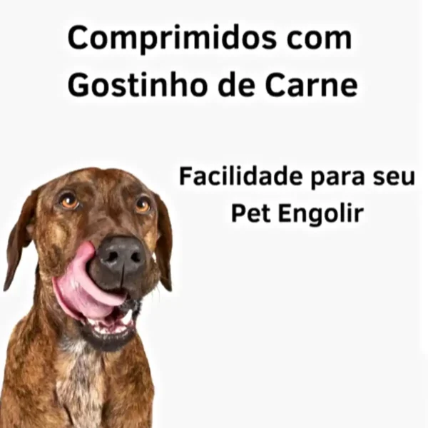 Remédio para Carrapato Pulgas e Sarna Ivercanis 3mg C/4 Comprimidos - Imagem 3