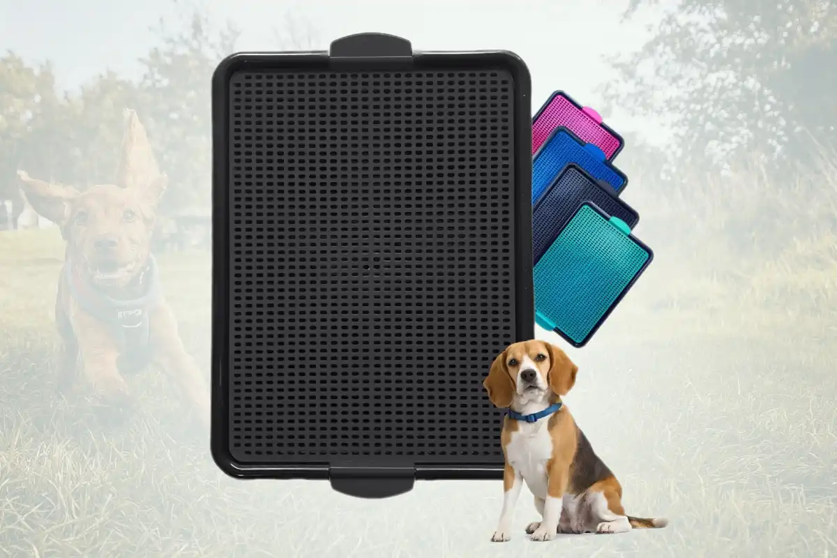 O melhor Sanitário Higiênico para Cachorro para a rotina do seu pet. Este sanitário higiênico para cachorro garante e limpeza e bem-estar.