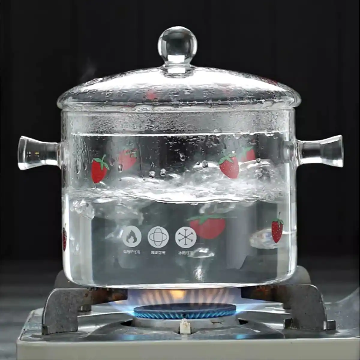 Panela De Vidro 2L Sopa Guisado Com Tampa Molho Panelas_SHOPEE_02